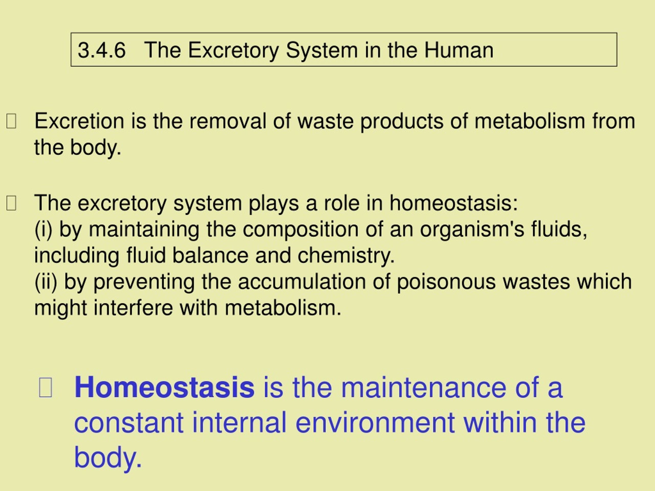 PPT Objectives What You Will Need To Know From This Section