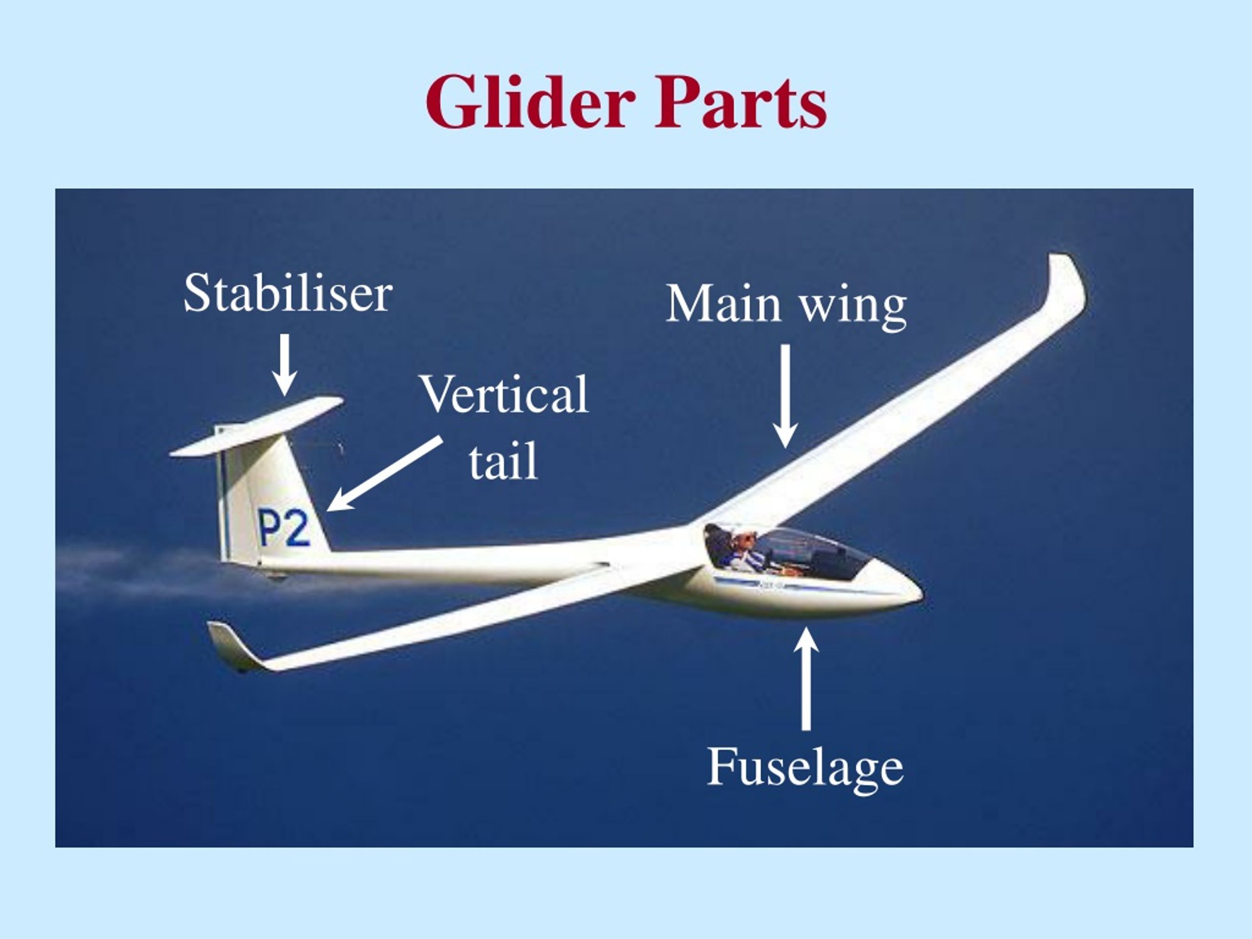 Main wing. An example of a Gliding Flight.