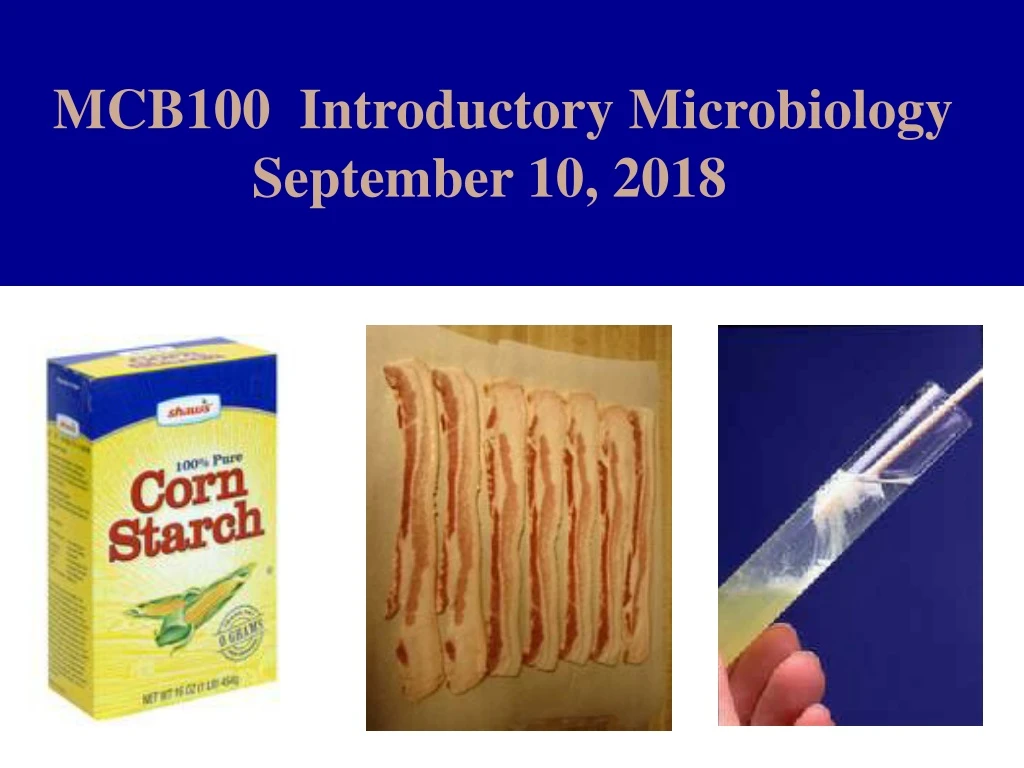 PPT - MCB100 Introductory Microbiology September 10, 2018 PowerPoint ...