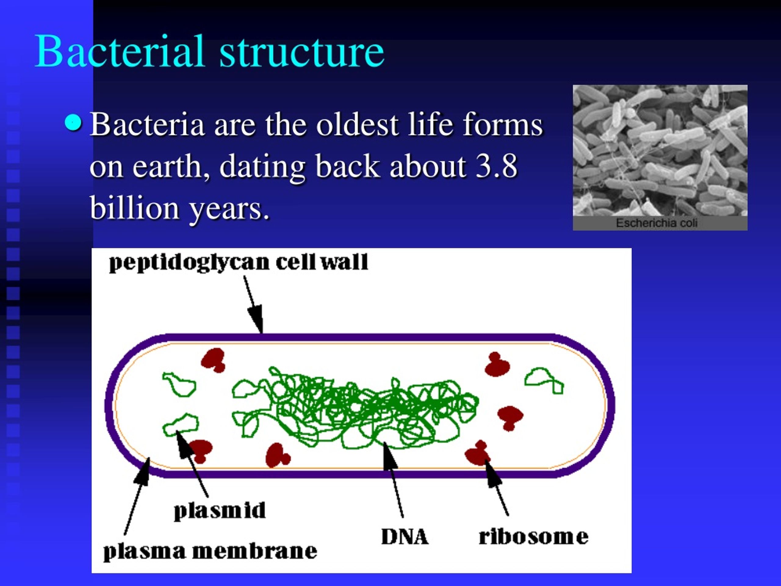 Ppt Principle Of Classification Powerpoint Presentation Free Download Id9167145 