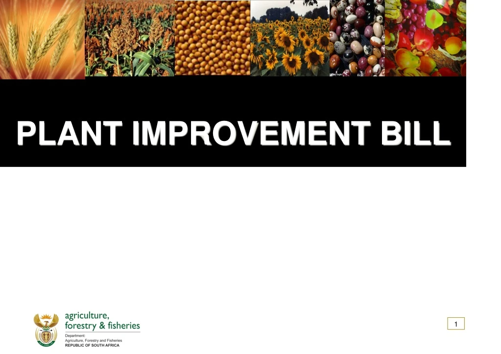 plant improvement bill n.