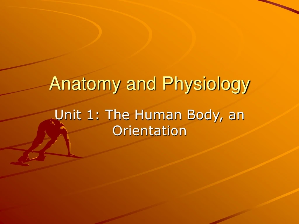 Ppt Anatomy And Physiology Powerpoint Presentation Free Download Id9169627 3590