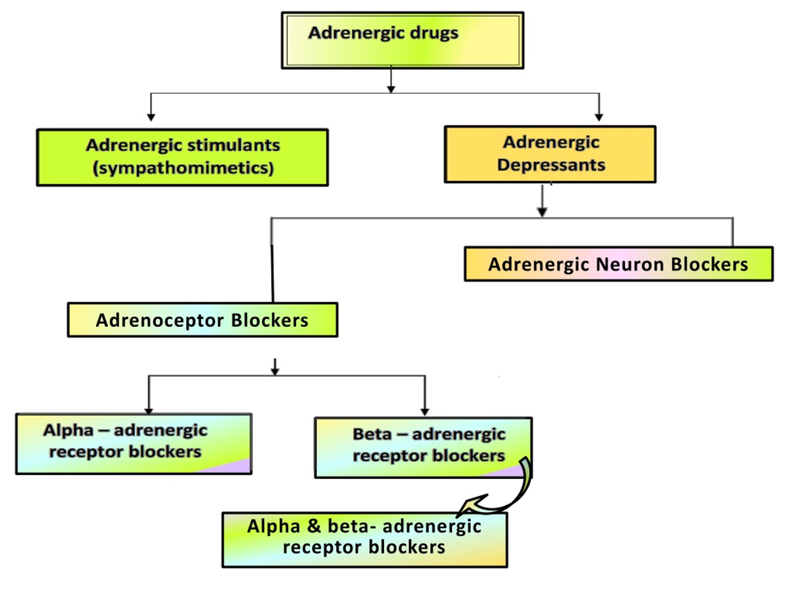 Ppt Sympatholytic And Adrenergic Blockers Receptor Antagonists