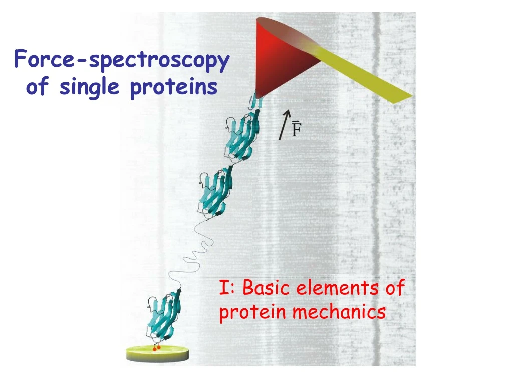 PPT - Force-spectroscopy of single proteins PowerPoint Presentation ...