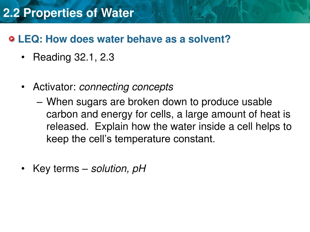 PPT LEQ How does water behave as a solvent? PowerPoint Presentation