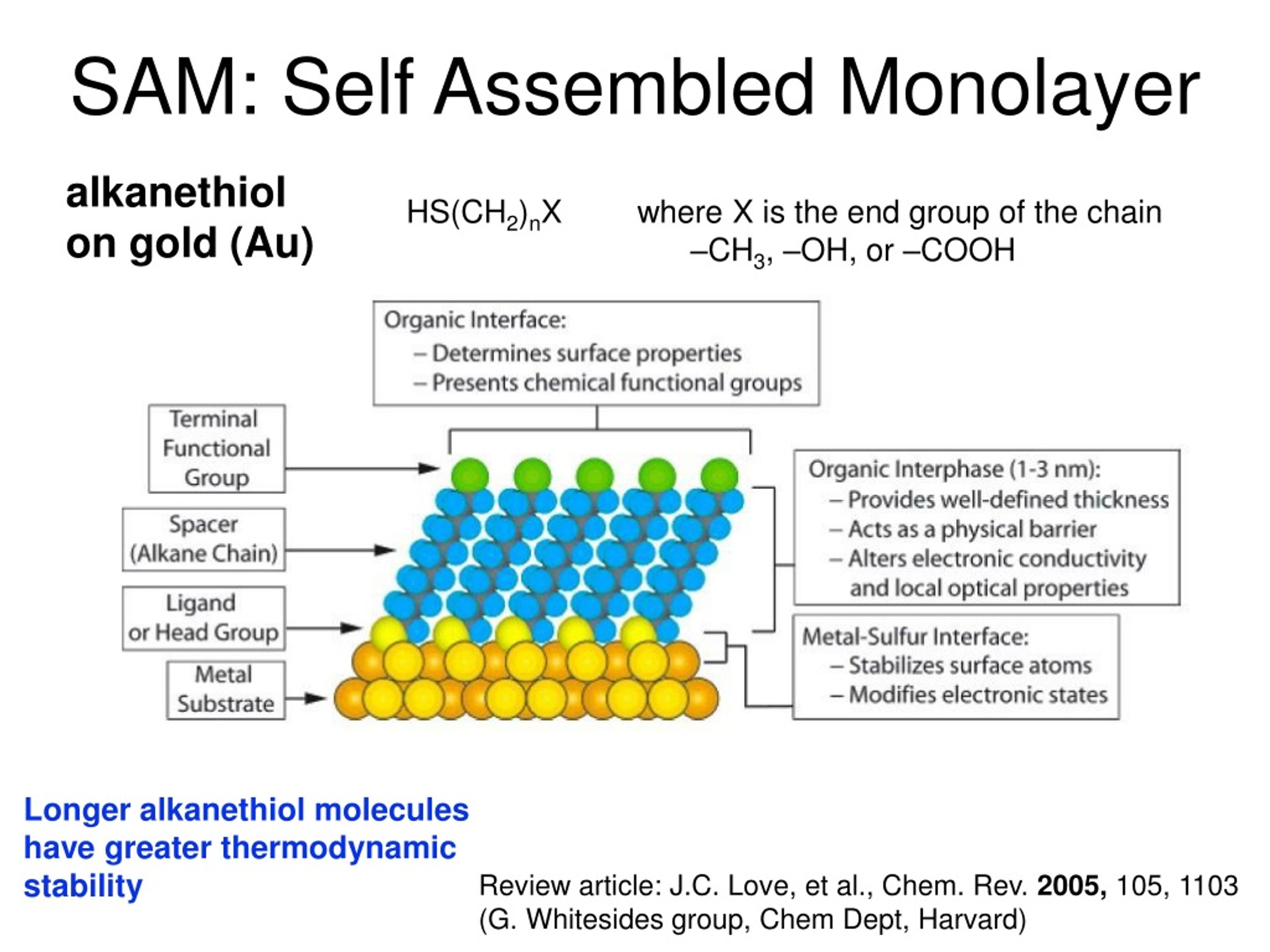 PPT - Self Assembly PowerPoint Presentation, Free Download - ID:9171737