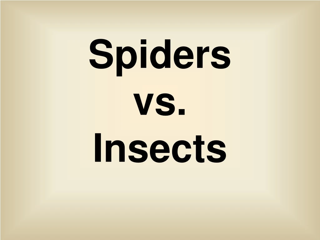 ppt-spiders-vs-insects-powerpoint-presentation-free-download-id