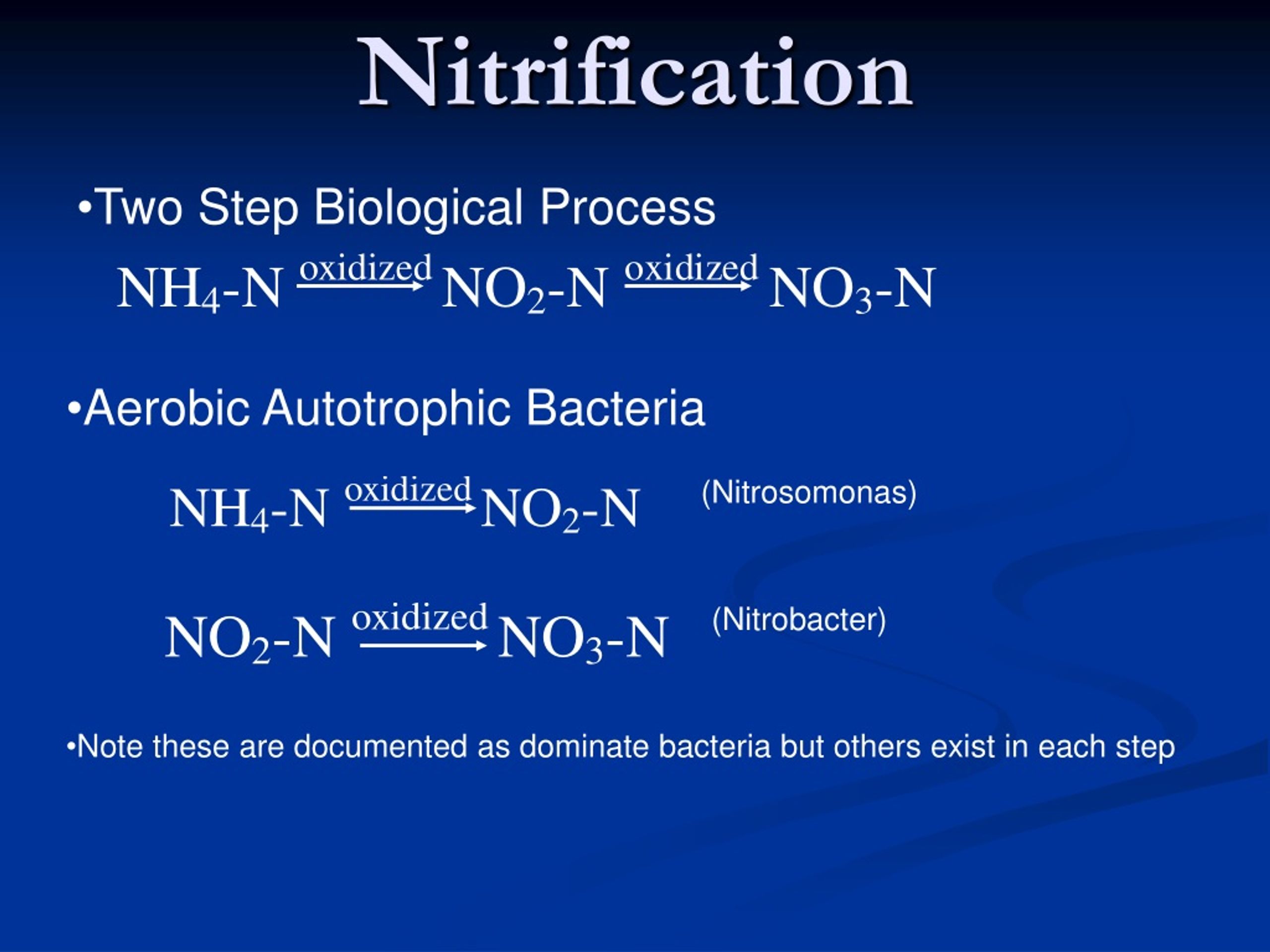 PPT - Moving Bed Biofilm Reactor MBBR For Nitrification/Denitrification ...