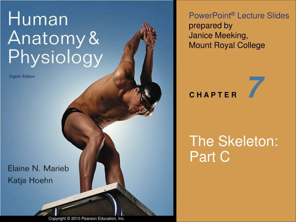 slide1 n.