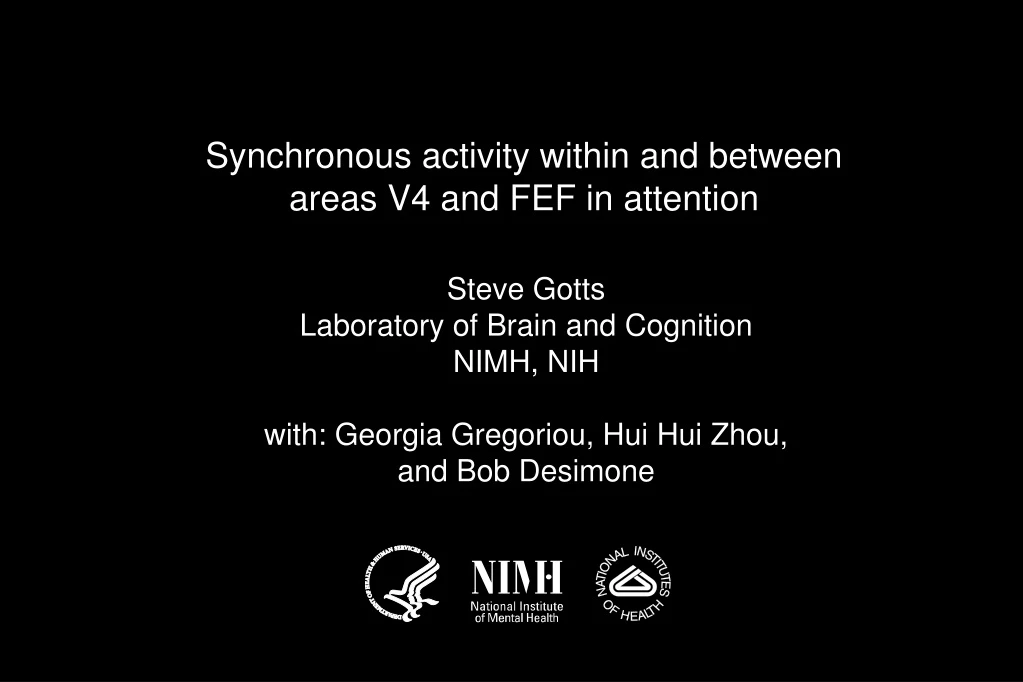 synchronous activity within and between areas n.