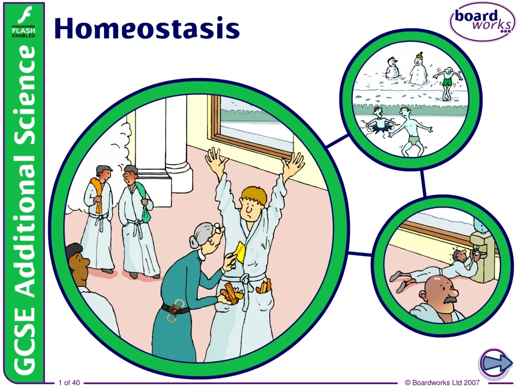 slide1 n.