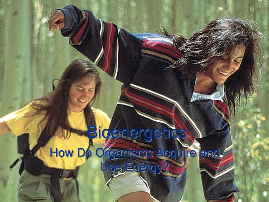 bioenergetics n.