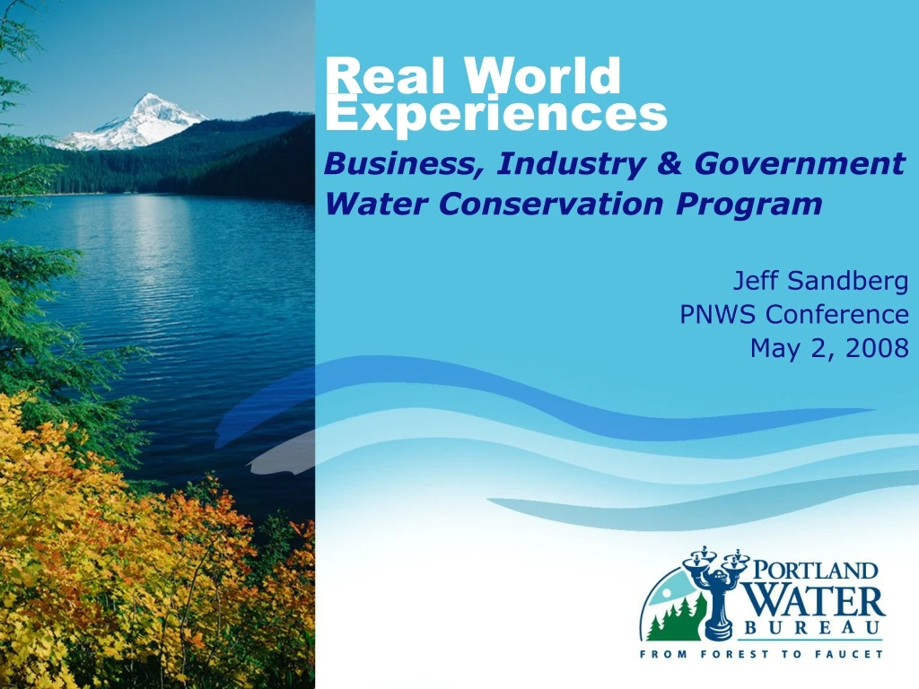 real world experiences business industry n.