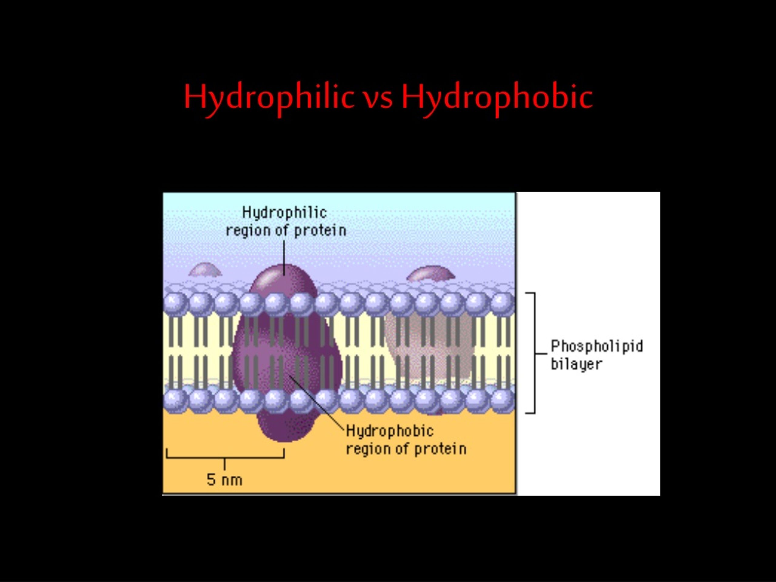 is-composite-hydrophobic-at-lorraine-garcia-blog