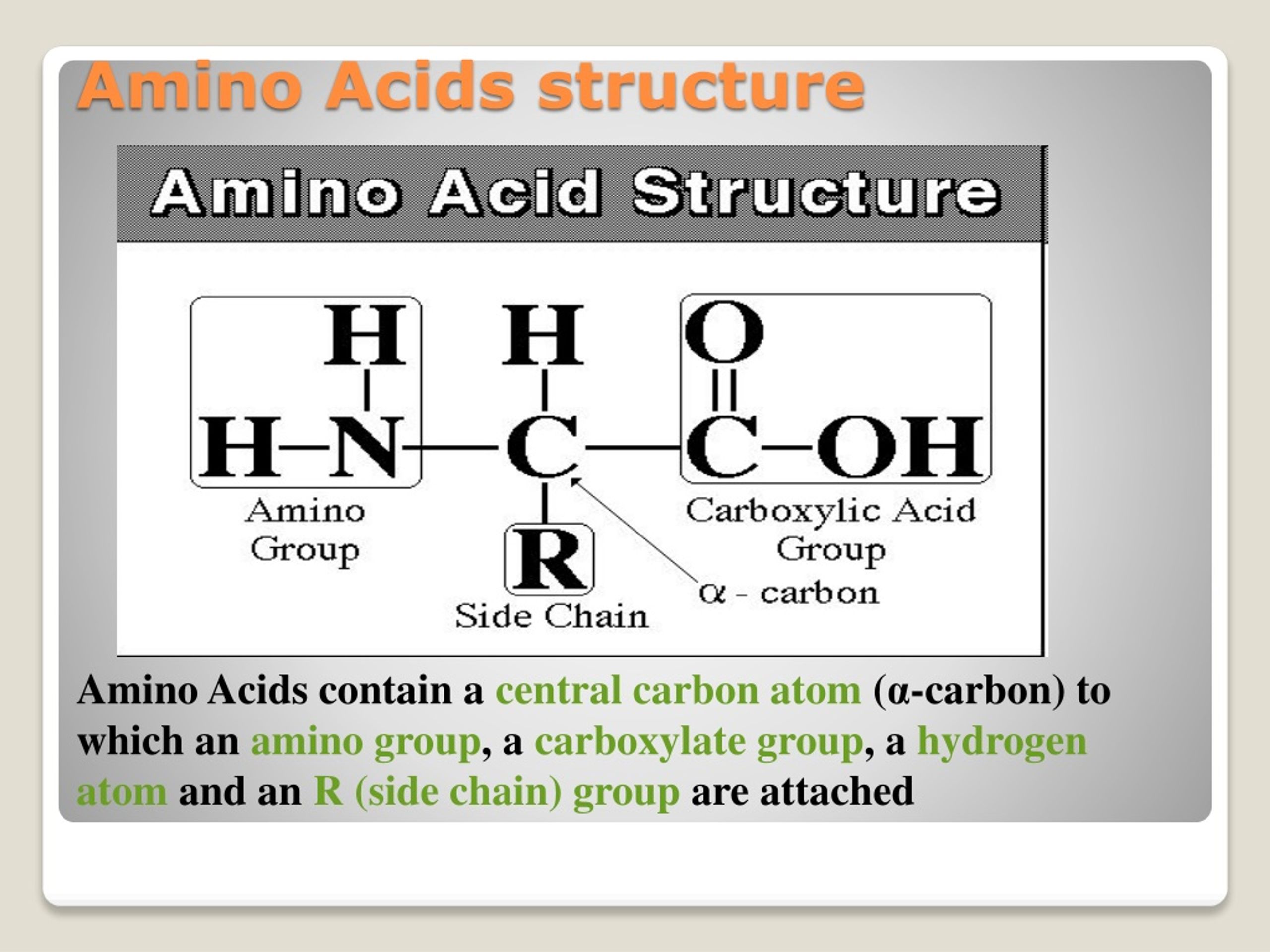 PPT - BIOCHEMISTRY Amino Acids PowerPoint Presentation, free download ...