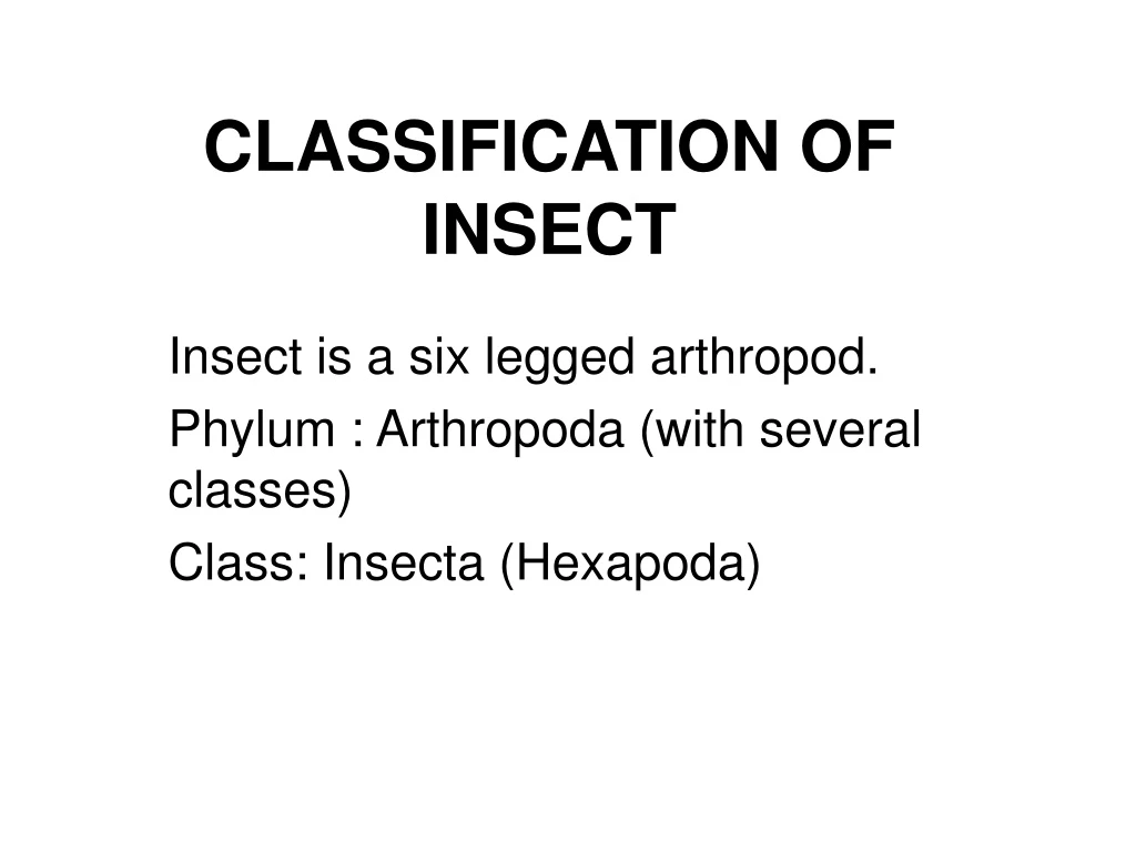 Ppt Classification Of Insect Powerpoint Presentation Free Download