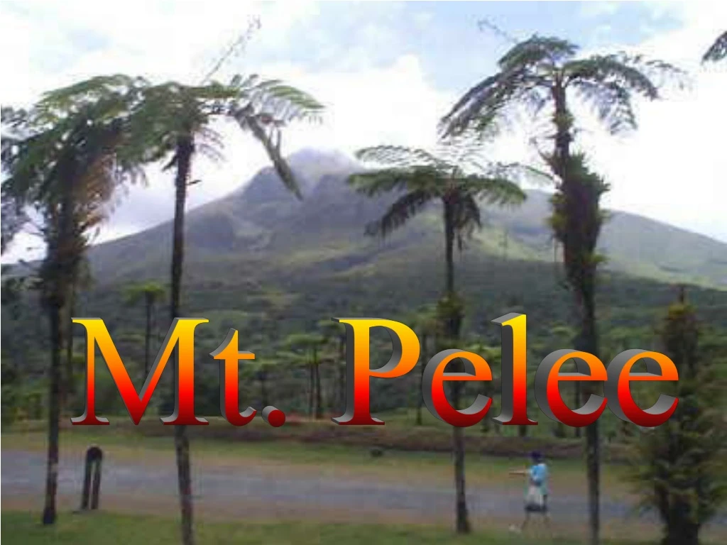 mt pelee n.
