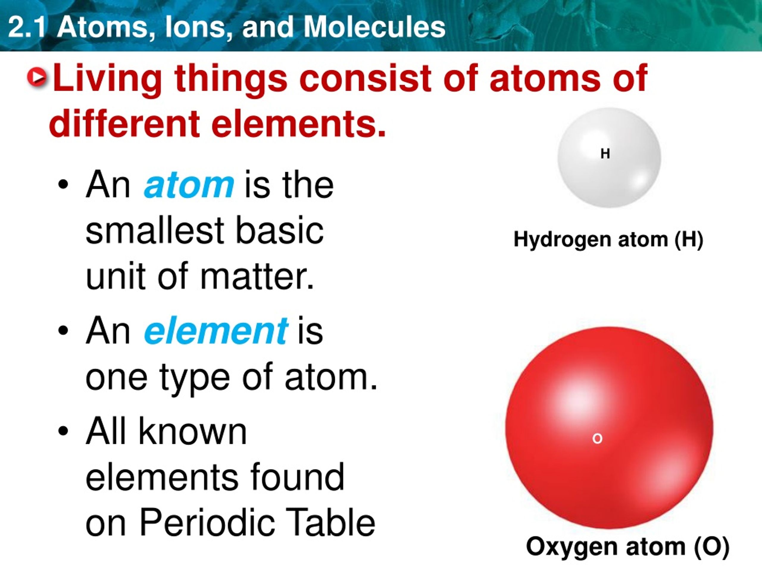 Are Atoms Living Things