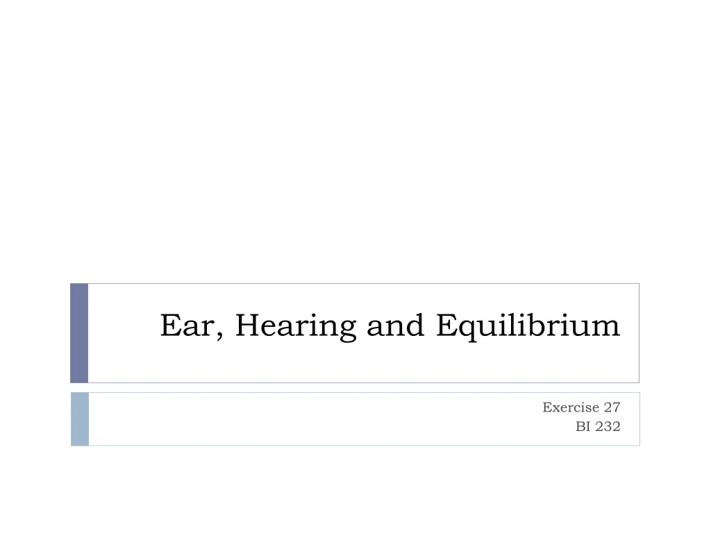 Ppt Ear Hearing And Equilibrium Powerpoint Presentation Free