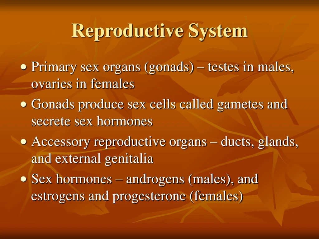 Ppt Reproductive System Powerpoint Presentation Free Download Id 9182066