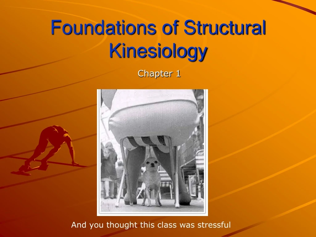 Ppt Foundations Of Structural Kinesiology Powerpoint Presentation Free Download Id9183302 8055