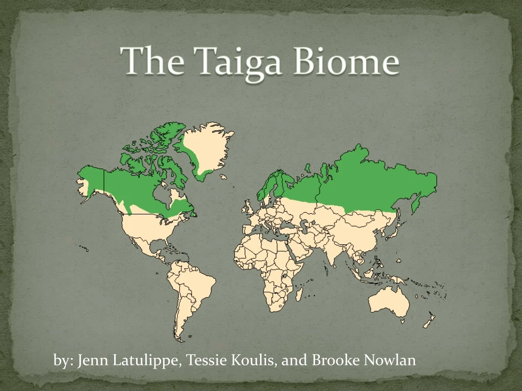 PPT - The Taiga Biome PowerPoint Presentation, Free Download - ID:9185184