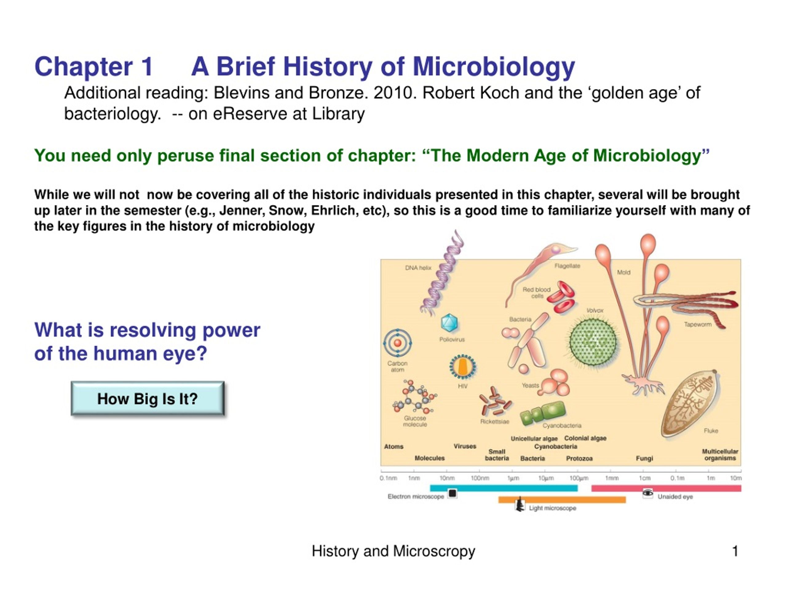 PPT - Chapter 1 A Brief History of Microbiology PowerPoint Presentation -  ID:9185659