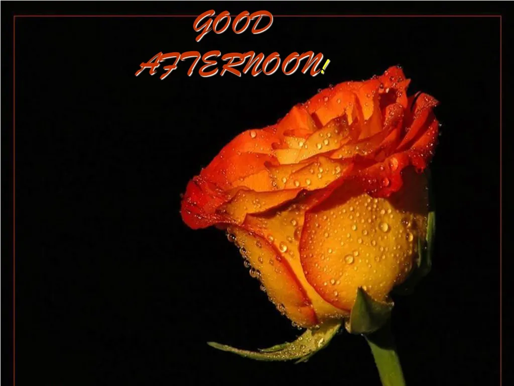 PPT GOOD AFTERNOON ! PowerPoint Presentation, free download ID918717
