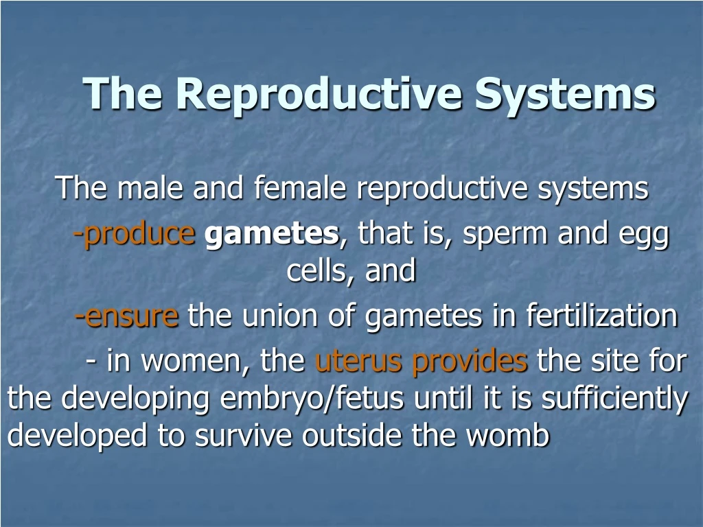 PPT - The Reproductive Systems PowerPoint Presentation, free download ...