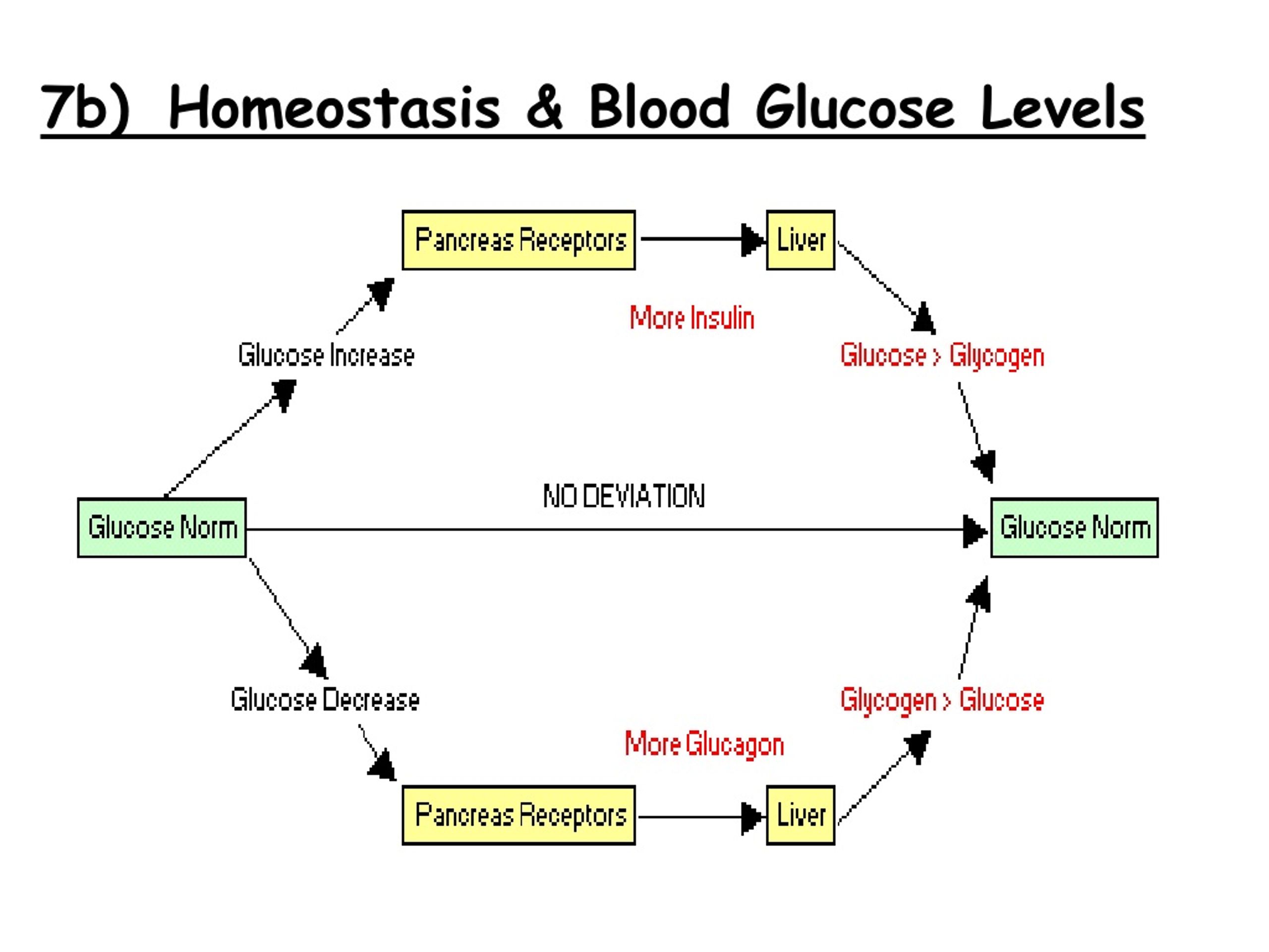 PPT - Biology PowerPoint Presentation, free download - ID:9188052