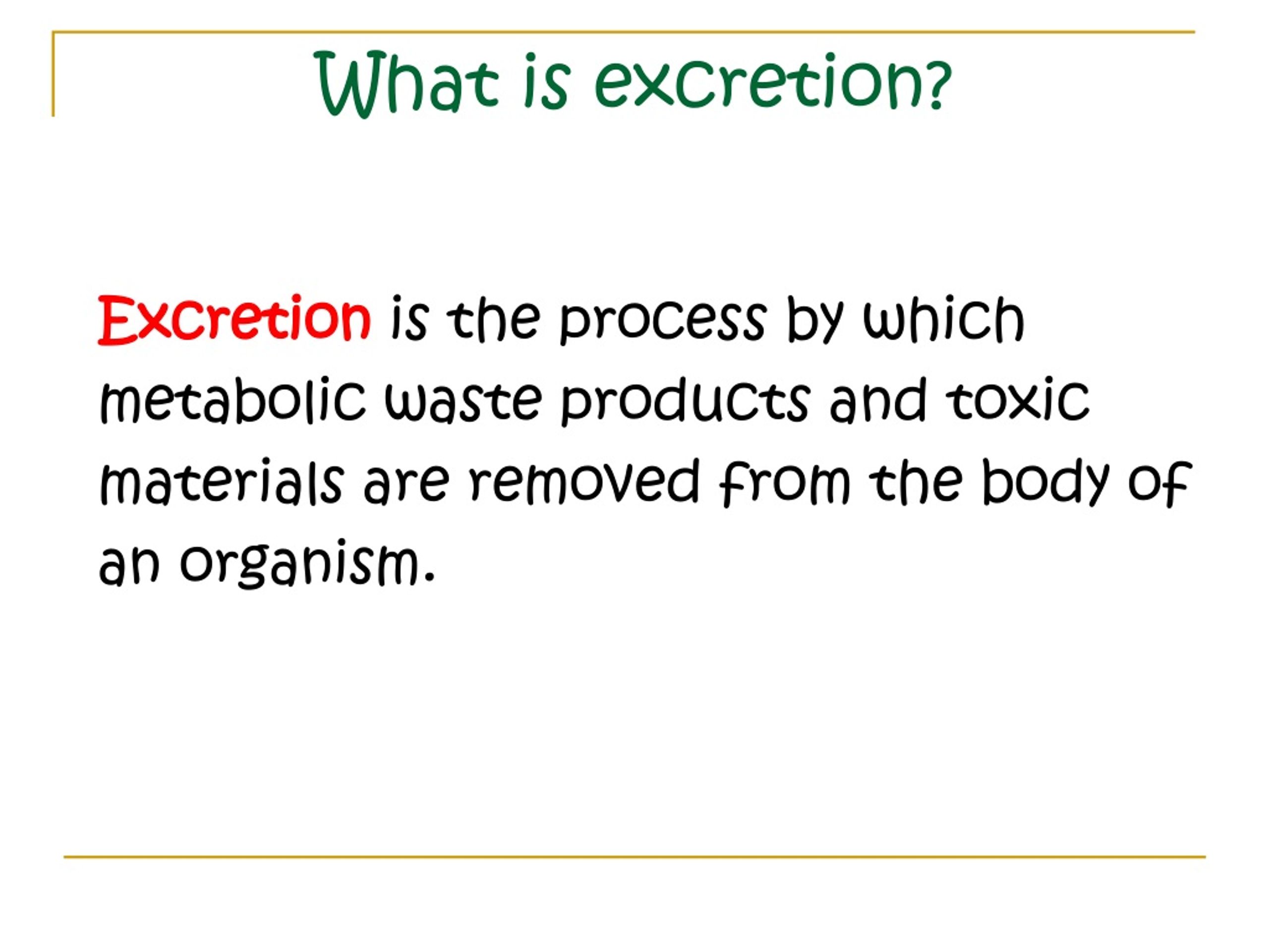 What on sale is excretion