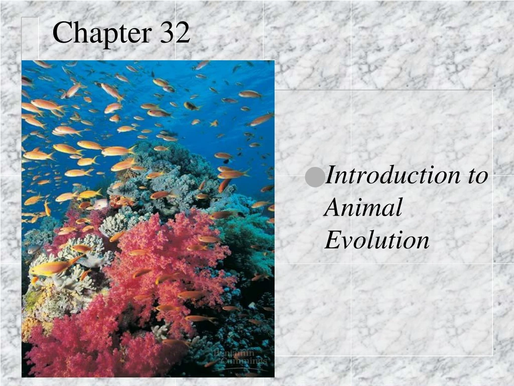 PPT - Chapter 32 PowerPoint Presentation, Free Download - ID:9188328