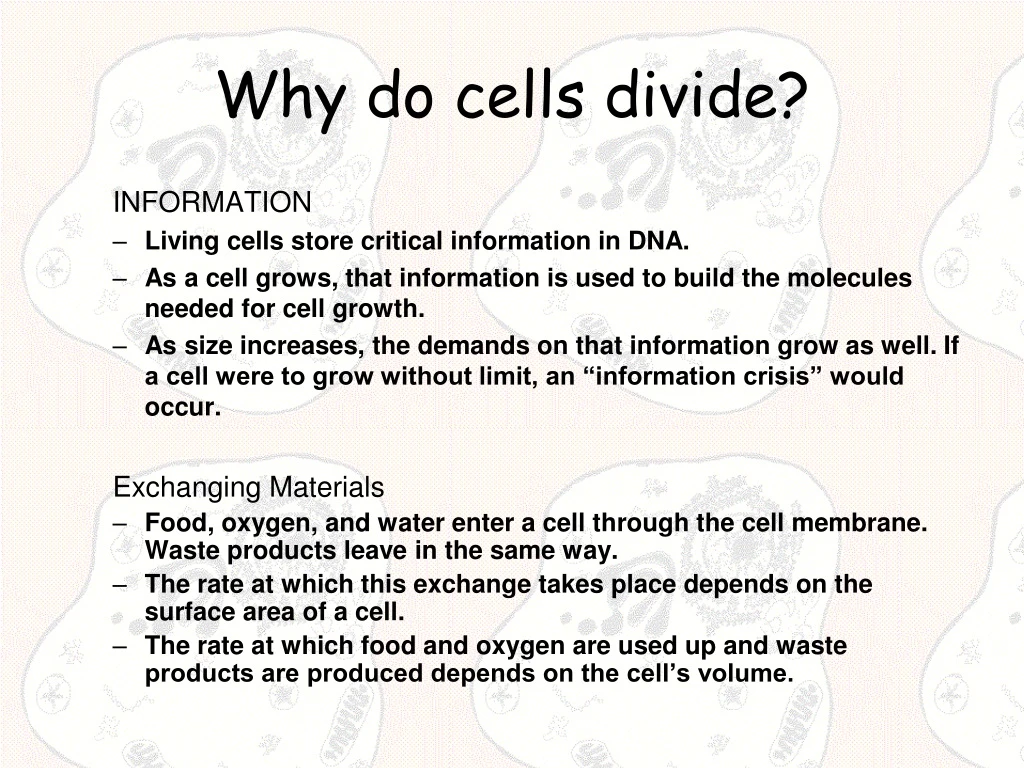 Ppt Why Do Cells Divide Powerpoint Presentation Free Download Id