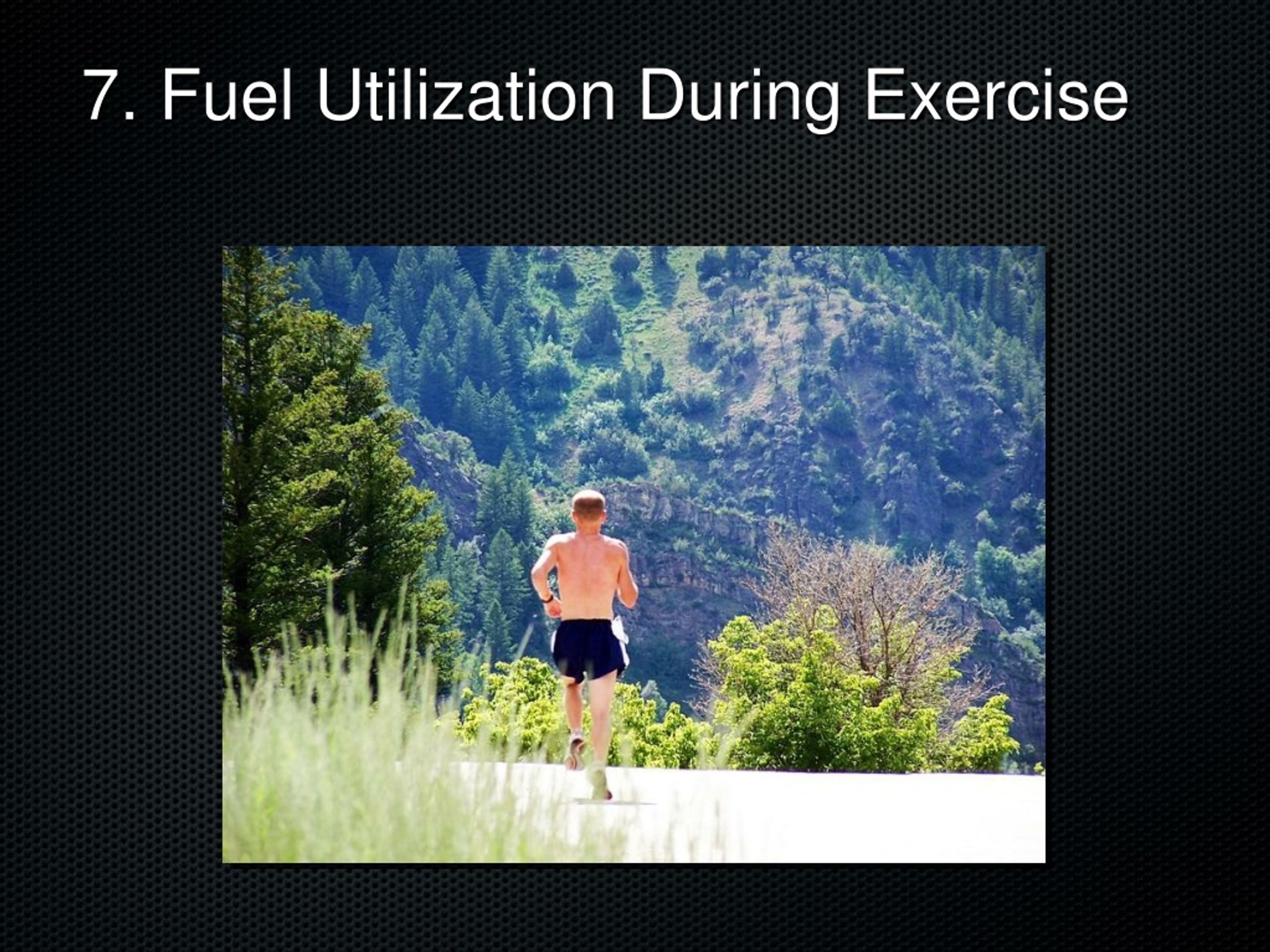 PPT - Exercise Metabolism PowerPoint Presentation, Free Download - ID ...