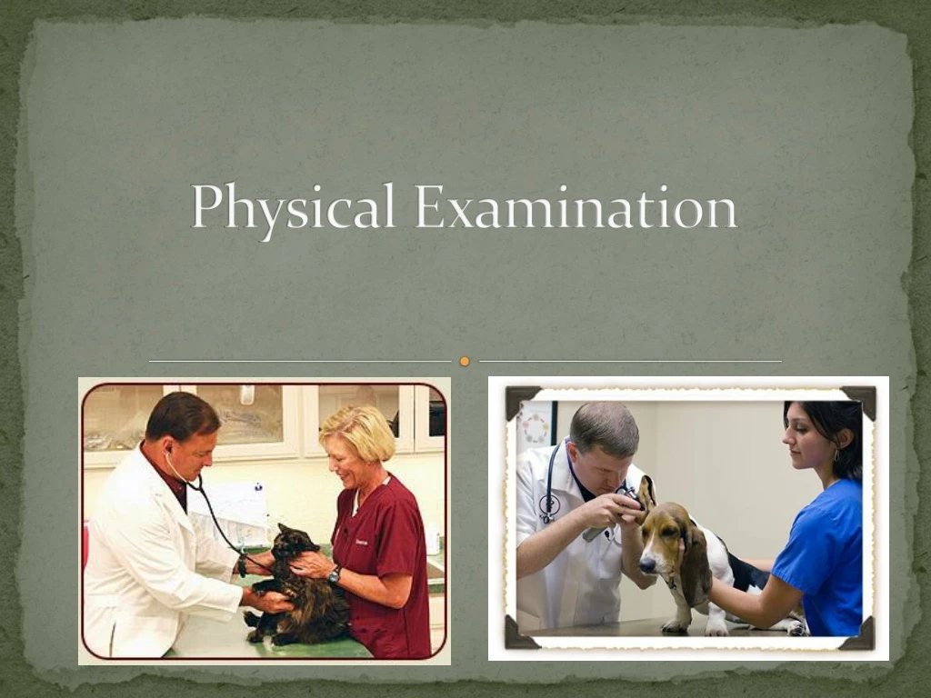 PPT - Physical Examination PowerPoint Presentation, Free Download - ID ...