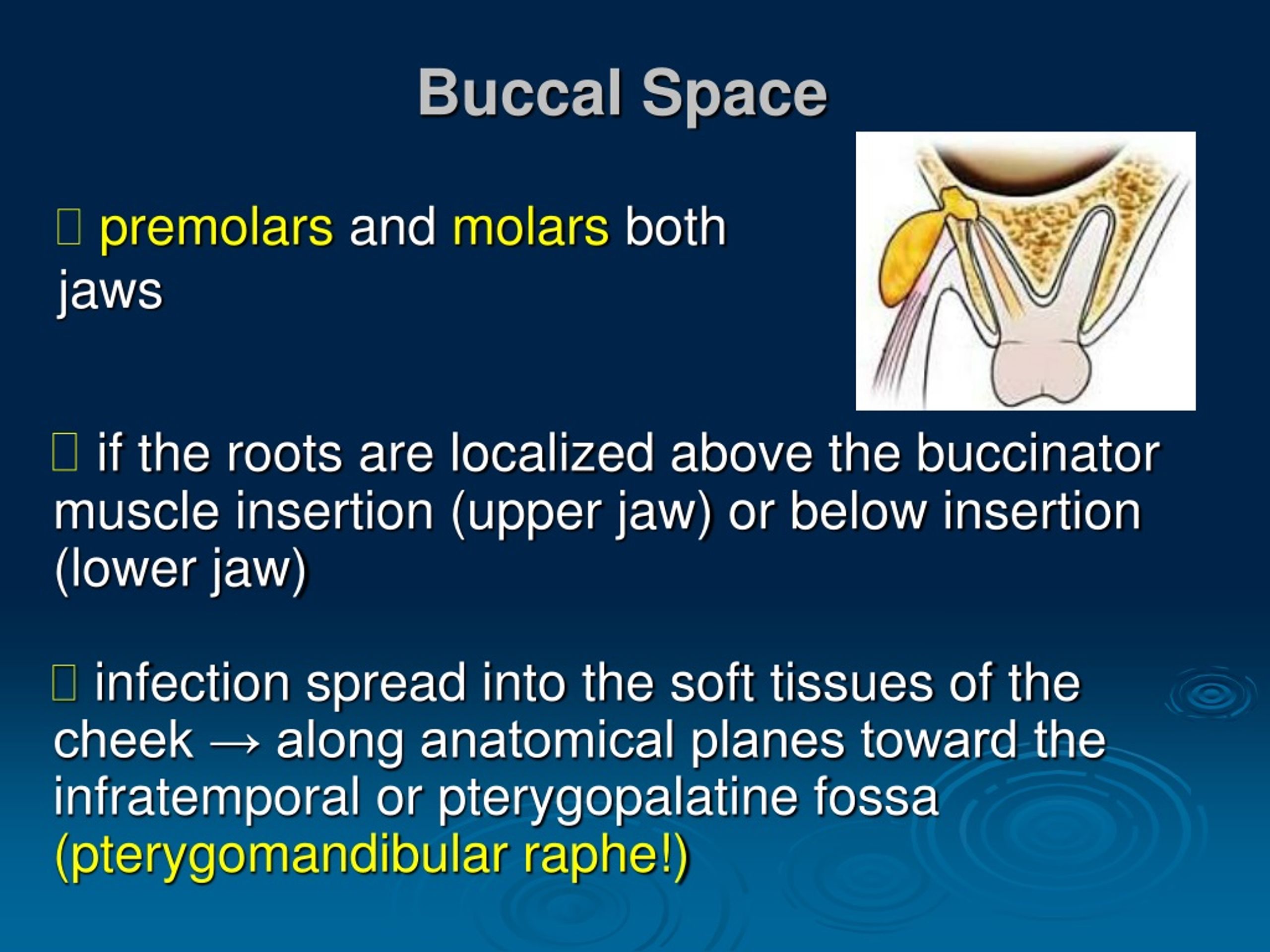 buccal space abscess