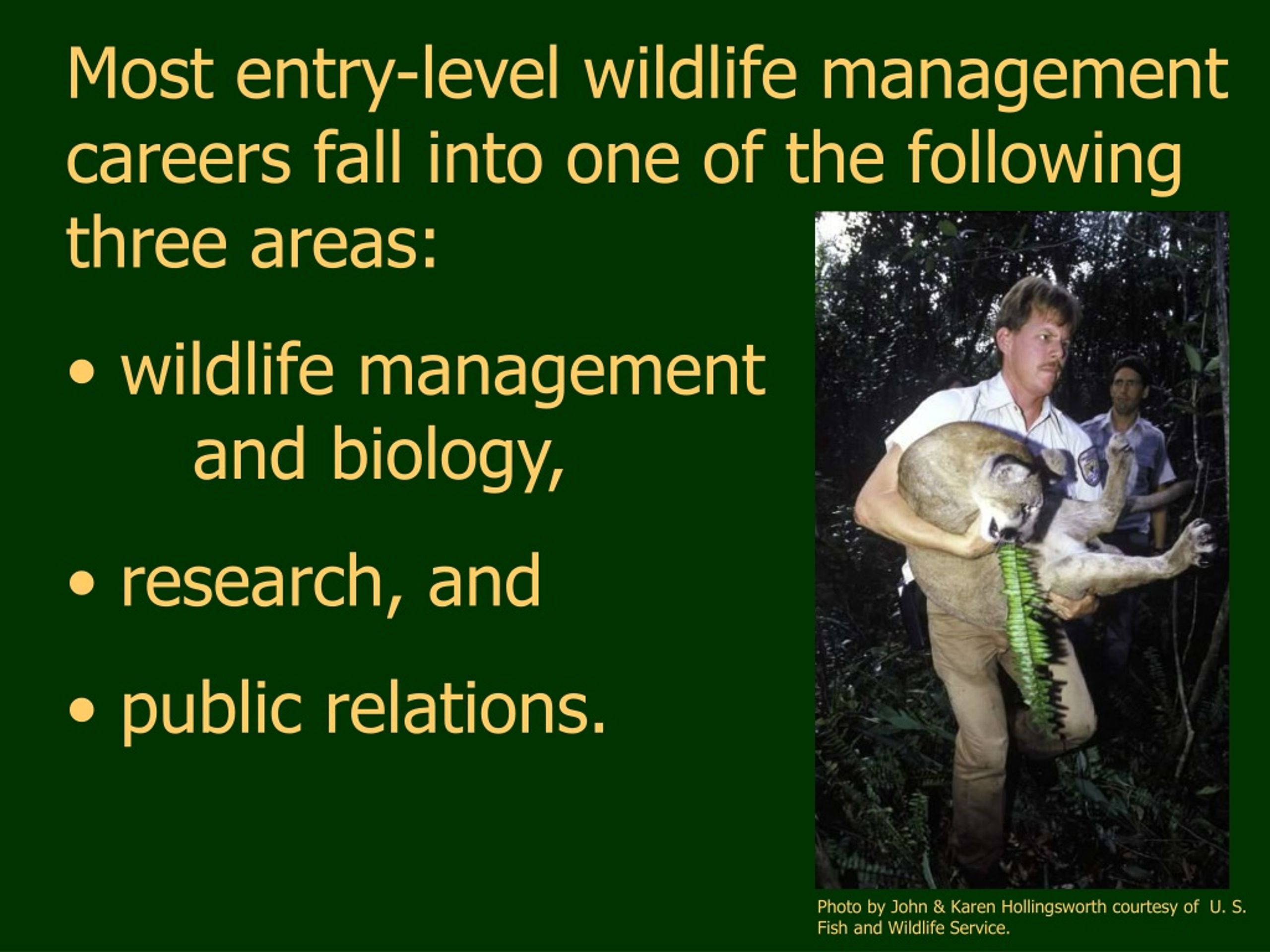 phd in wildlife management