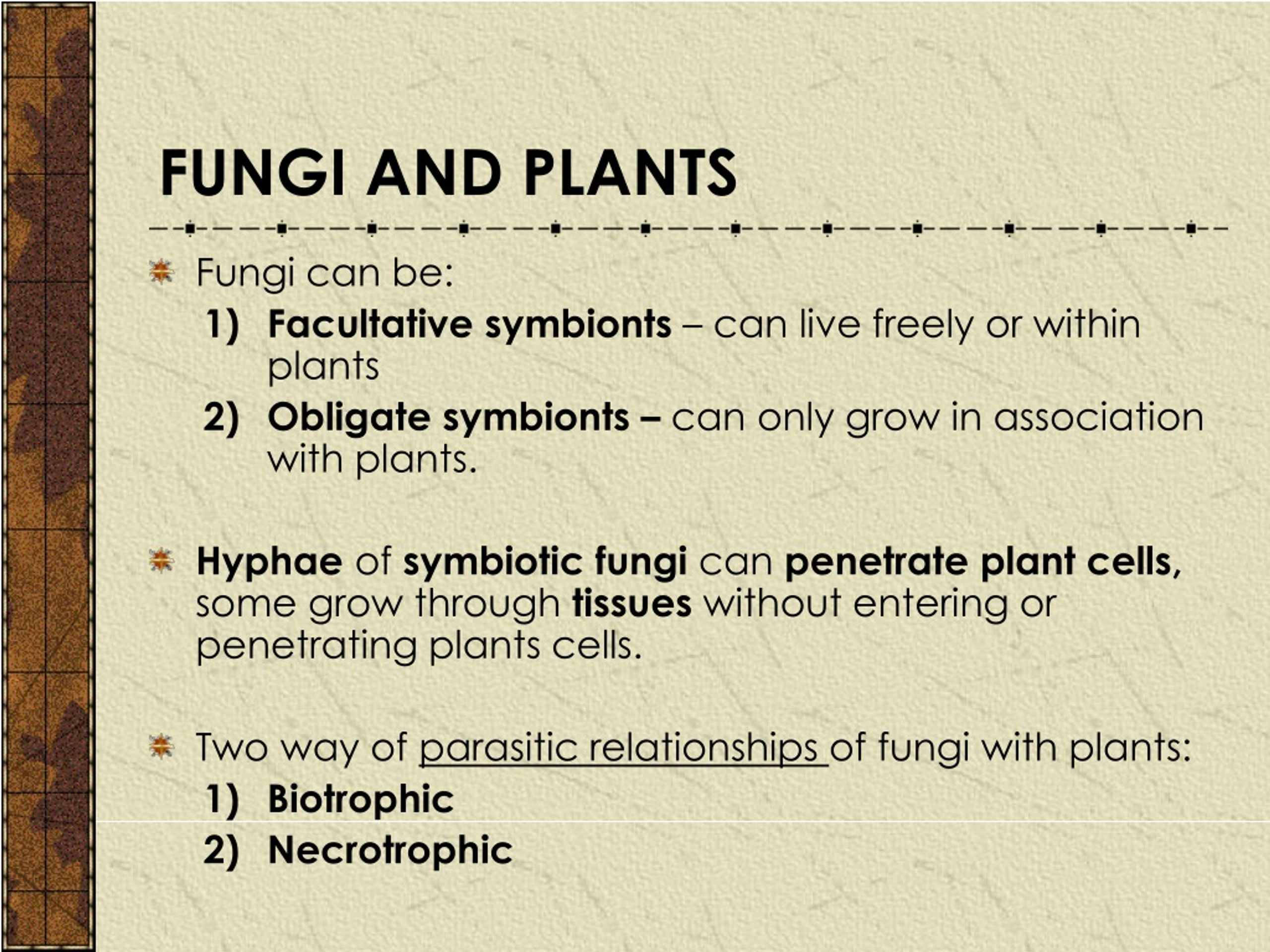 PPT - FUNGI AND OTHER ORGANISMS (PLANT) PowerPoint Presentation, Free ...