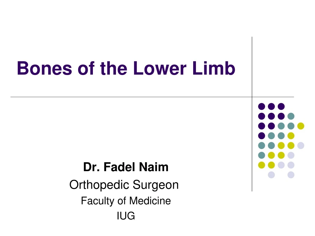 PPT - Bones of the Lower Limb PowerPoint Presentation, free download