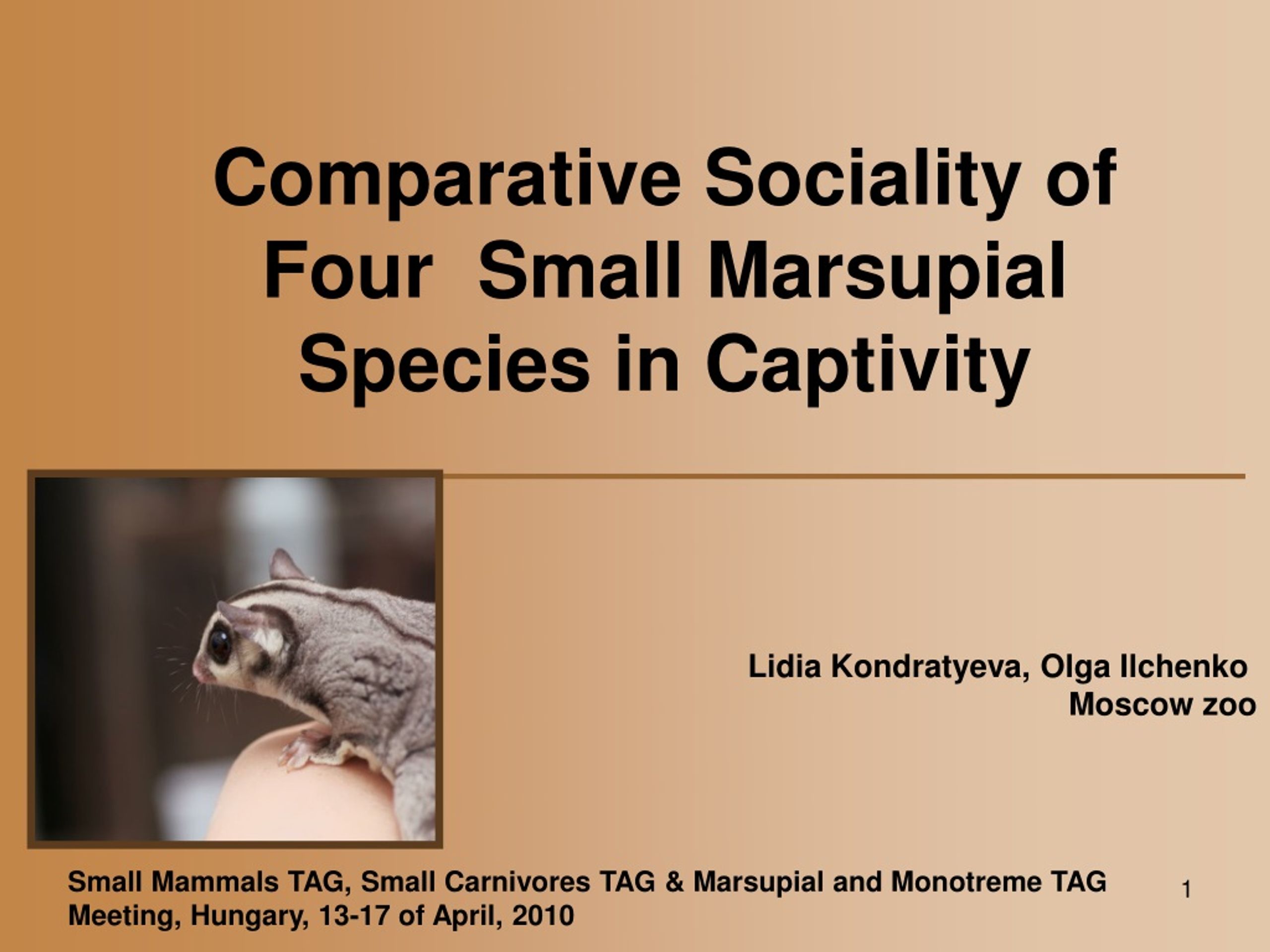 PPT - Comparative Sociality of Four Small Marsupial Species in Captivity  PowerPoint Presentation - ID:9196349