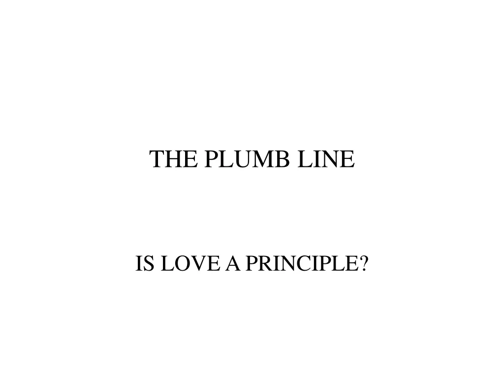 the plumb line n.
