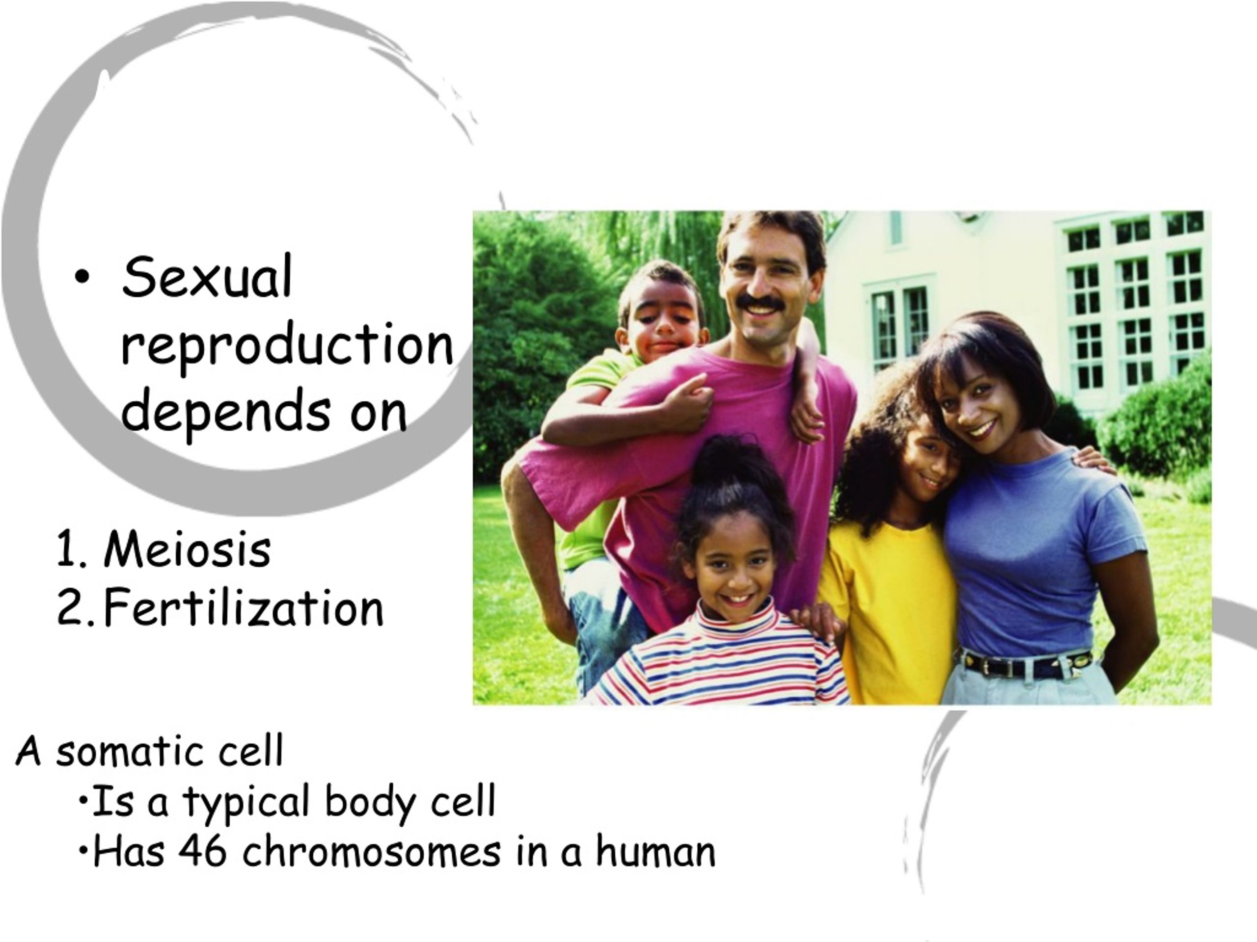 Ppt Cellular Reproduction Powerpoint Presentation Free Download Id9197137 3362