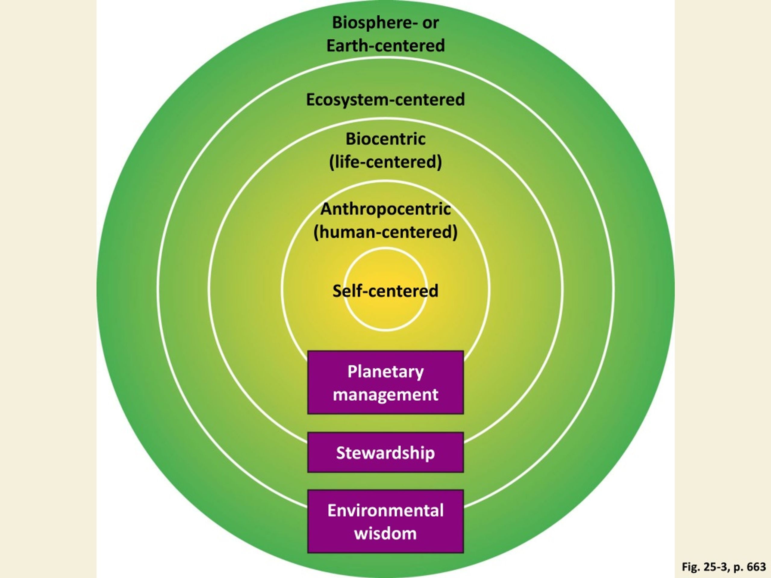 PPT - Chapter 25 Environmental Worldviews, Ethics, and Sustainability ...