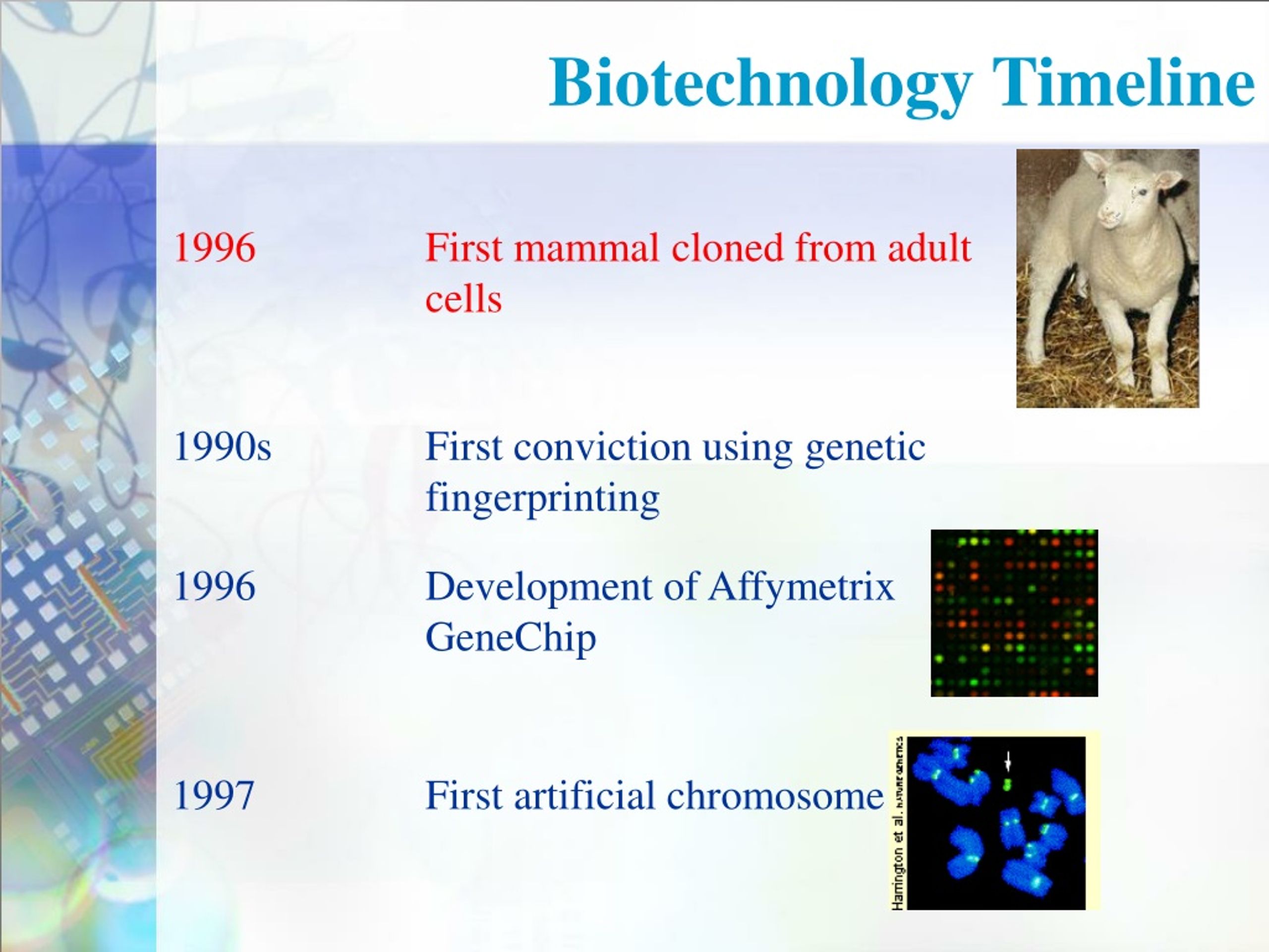 PPT History of BIOTECHNOLOGY PowerPoint Presentation, free download