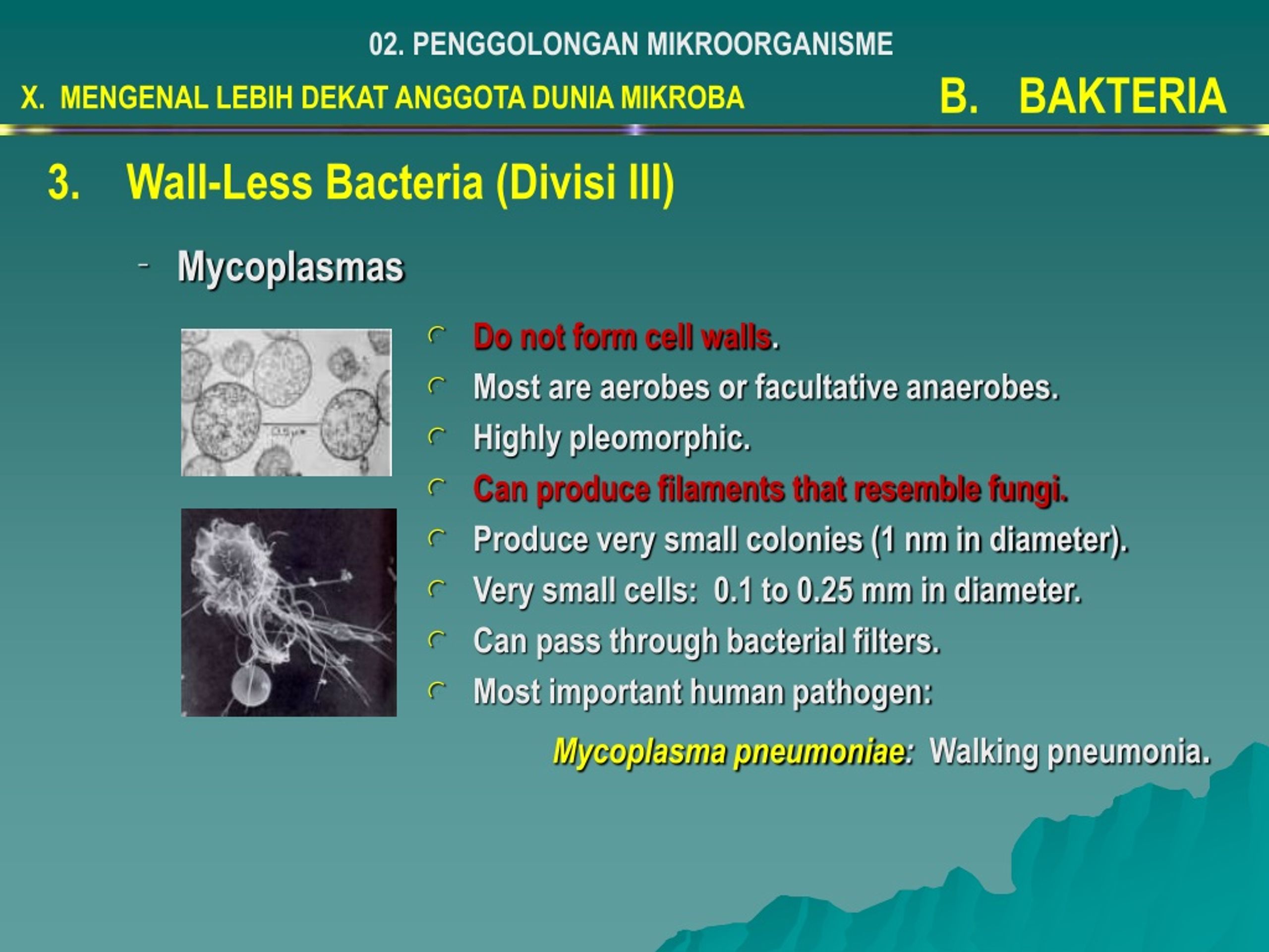 PPT - PENDAHULUAN EVOLUSI DAN KERAGAMAN MIKROBA TINGKATAN TAKSONOMI ...