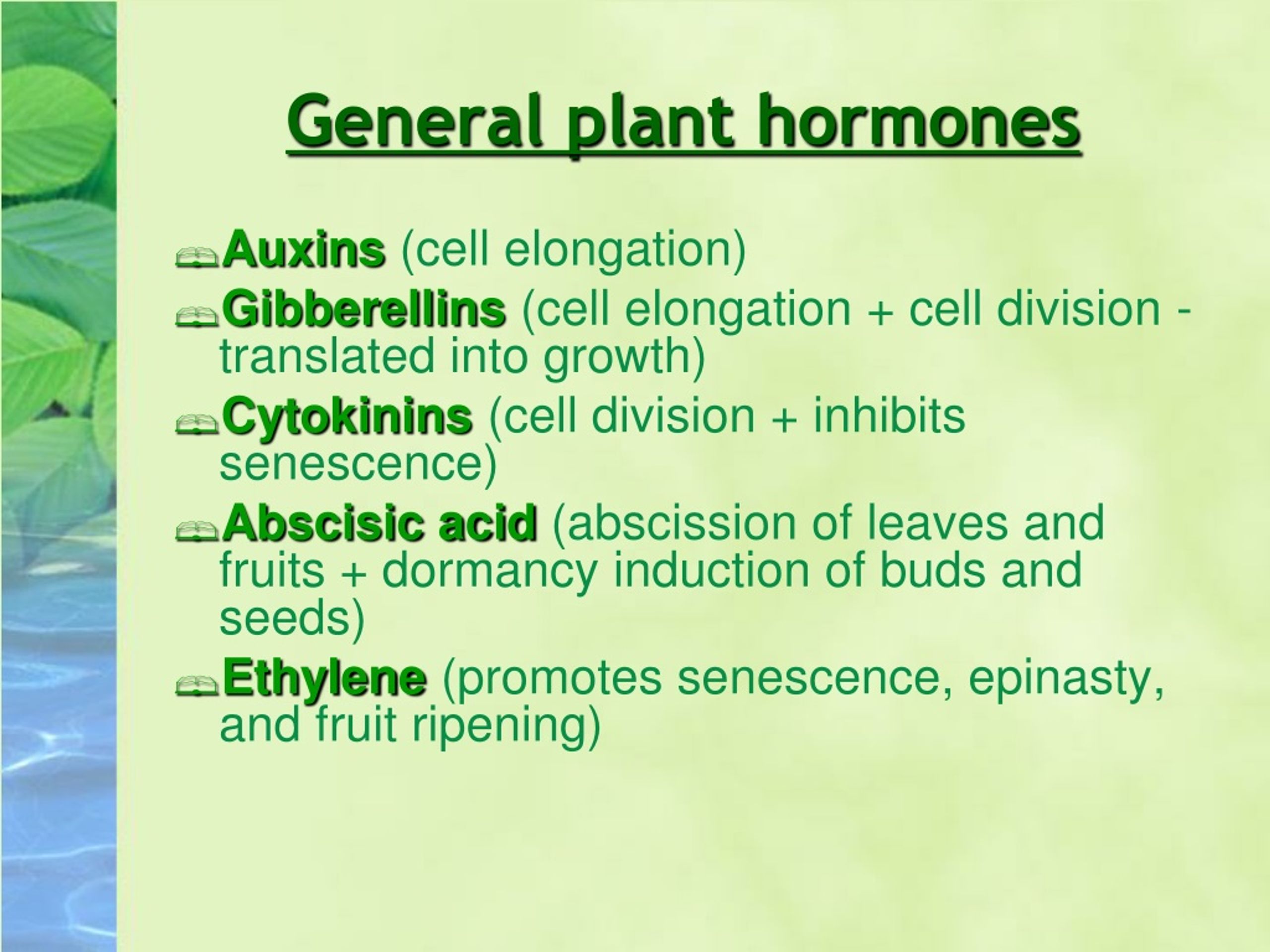 PPT - PLANT GROWTH REGULATORS PowerPoint Presentation, free download ...