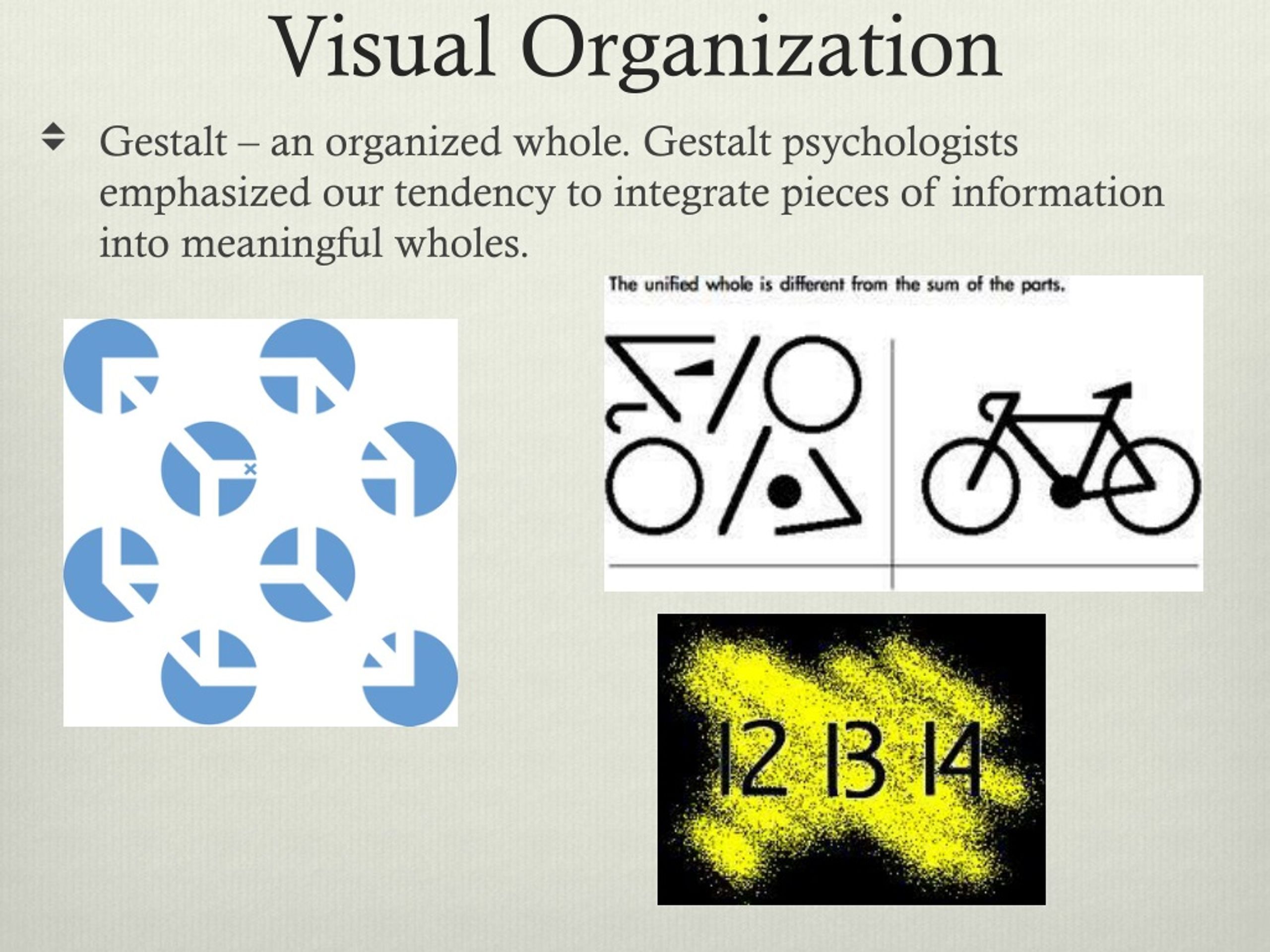 PPT - Visual Organization and Interpretation PowerPoint Presentation