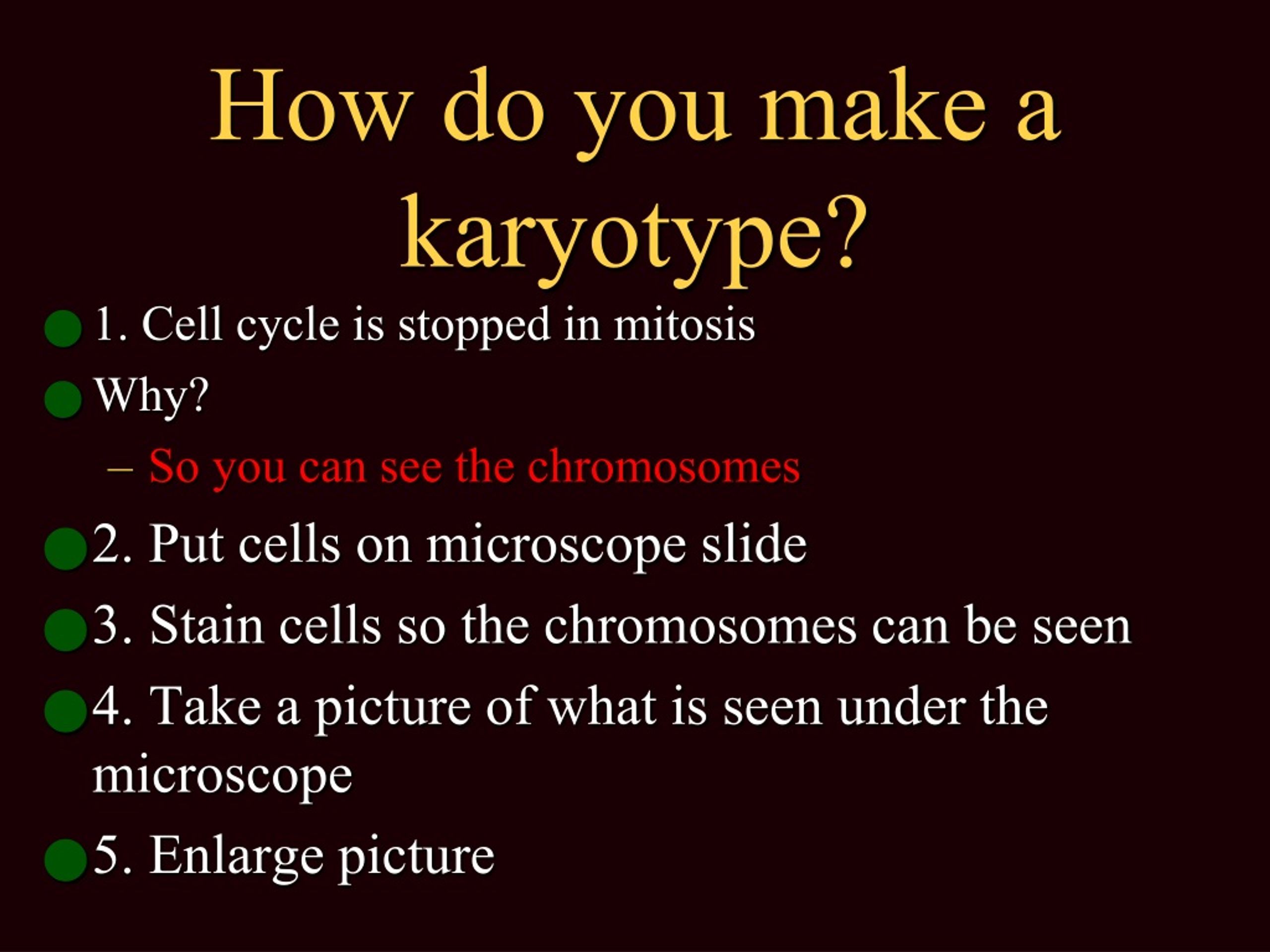 PPT - Karyotypes PowerPoint Presentation, free download - ID:9205994