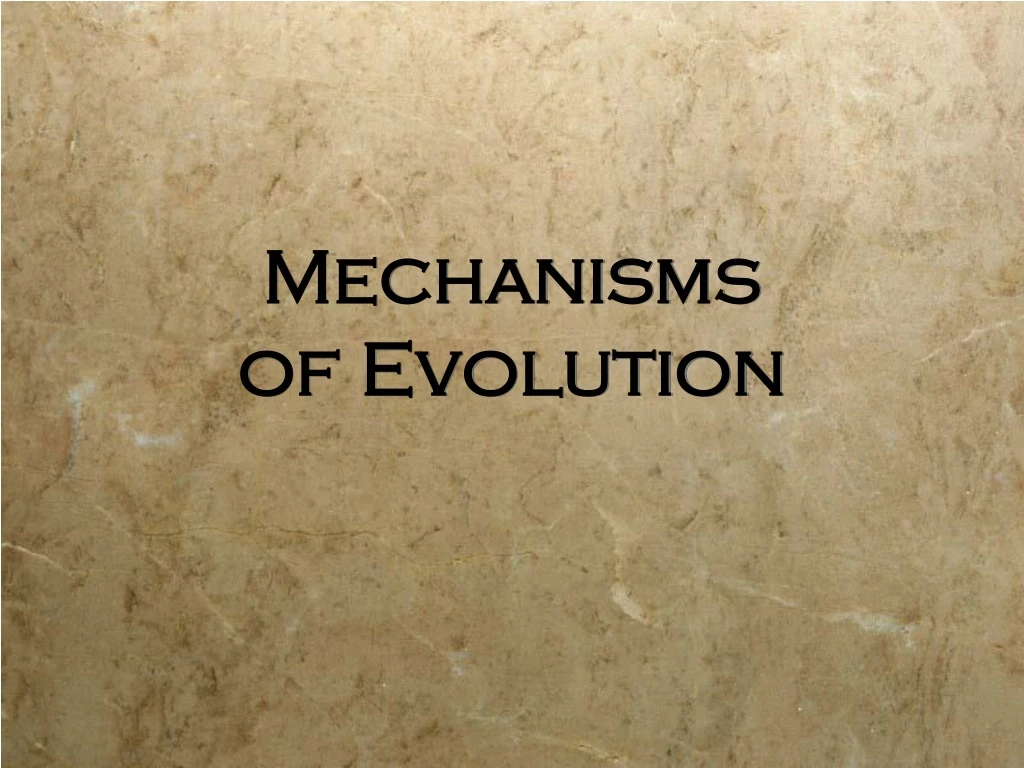 PPT - Mechanisms of Evolution PowerPoint Presentation, free download ...