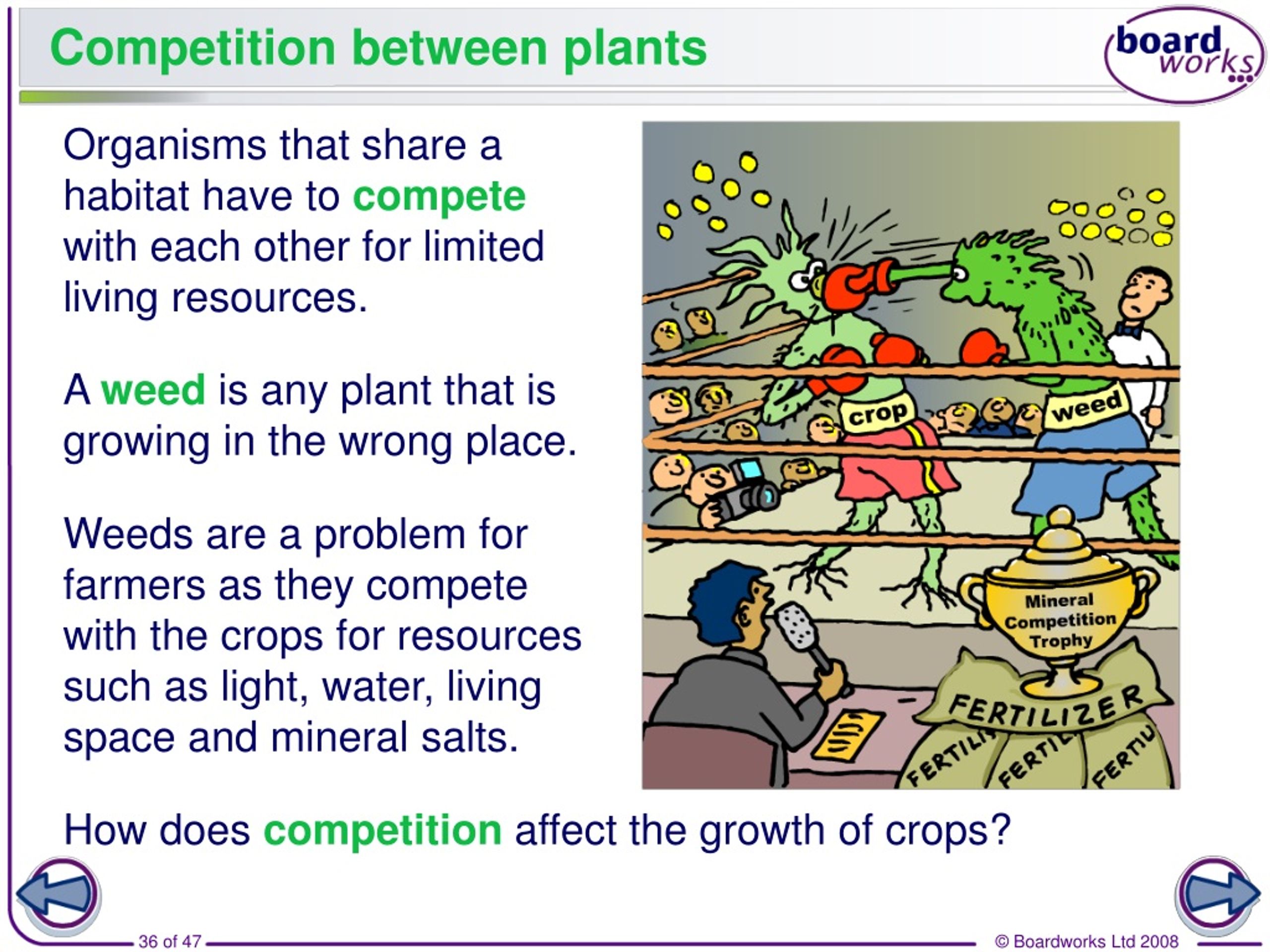 PPT - Plants And Photosynthesis PowerPoint Presentation, Free Download ...